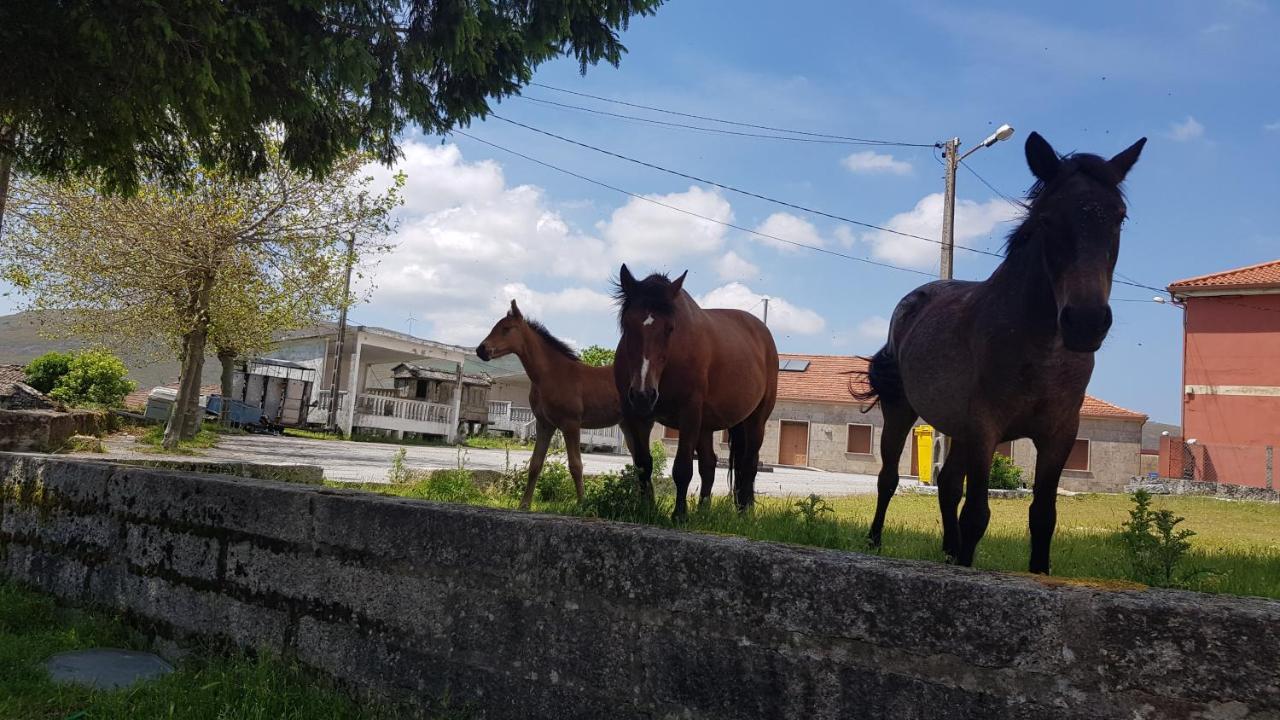 Casa Do Norte San Salvador Екстериор снимка